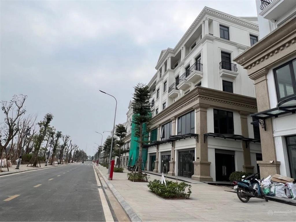 Shophouse  hải âu vinhomes ocean park  kinh doanh đỉnh  an sinh đẳng cấp