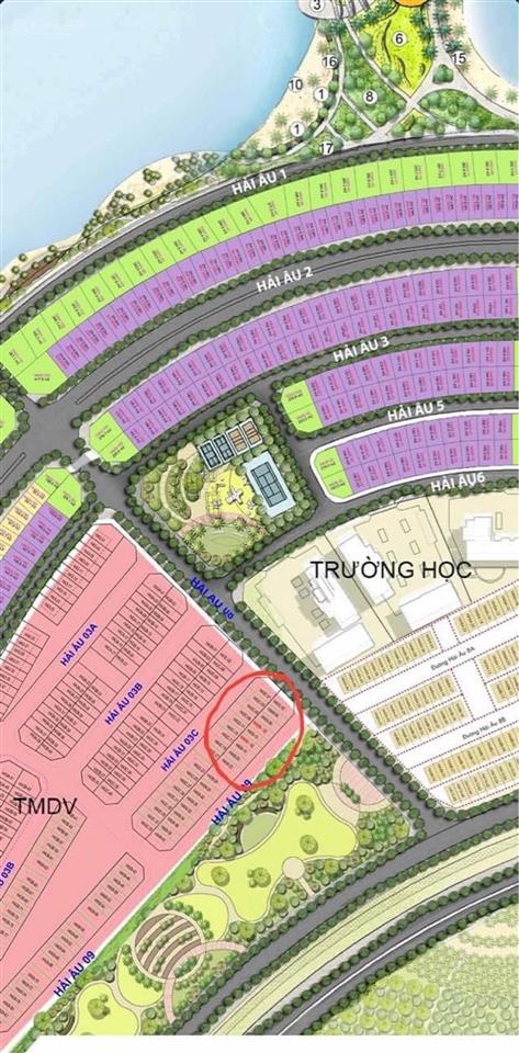 Shophouse  hải âu vinhomes ocean park  kinh doanh đỉnh  an sinh đẳng cấp