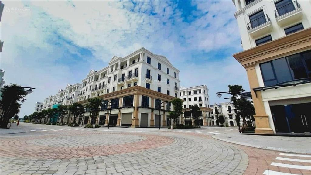 Shophouse  hải âu vinhomes ocean park  kinh doanh đỉnh  an sinh đẳng cấp