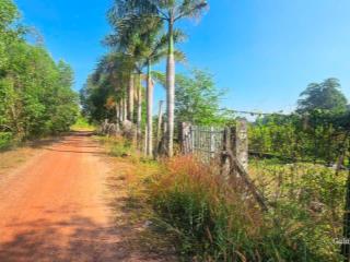 Bán vườn cà na, bên sông sg tại xã an phú, củ chi, tphcm, 2861 m2  có 95.6m2 thổ cư  giá 5,3 tỷ