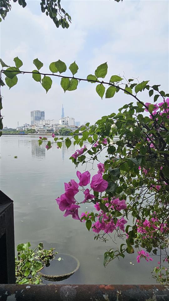 Căn hộ duplex sát bờ sông sài gòn nhất thành phố