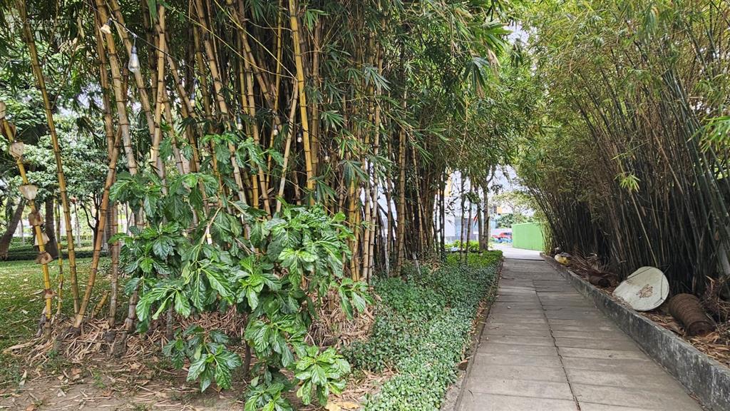 Căn hộ duplex sát bờ sông sài gòn nhất thành phố