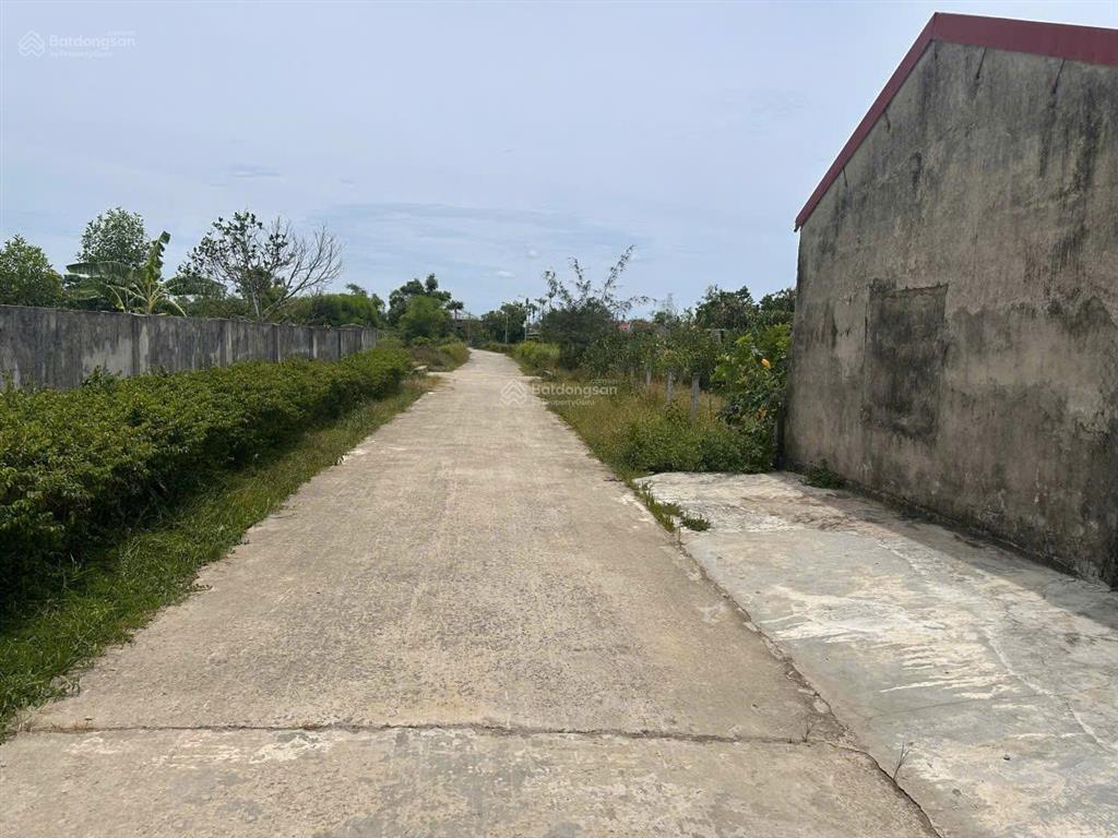 Bán đấu giá tài sản thi hành án địa chỉ thôn yên thành, xã thiên cầm, tỉnh hà tĩnh