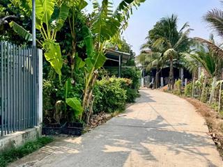Chỉ 1 tỷ 599! lô đất diên toàn ngang 7m đẹp xuất sắc