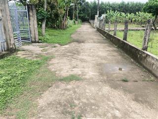 Chính chủ chào bán siêu phẩm 250m2 đất vườn xã bà nà bằng phẳng, đẹp