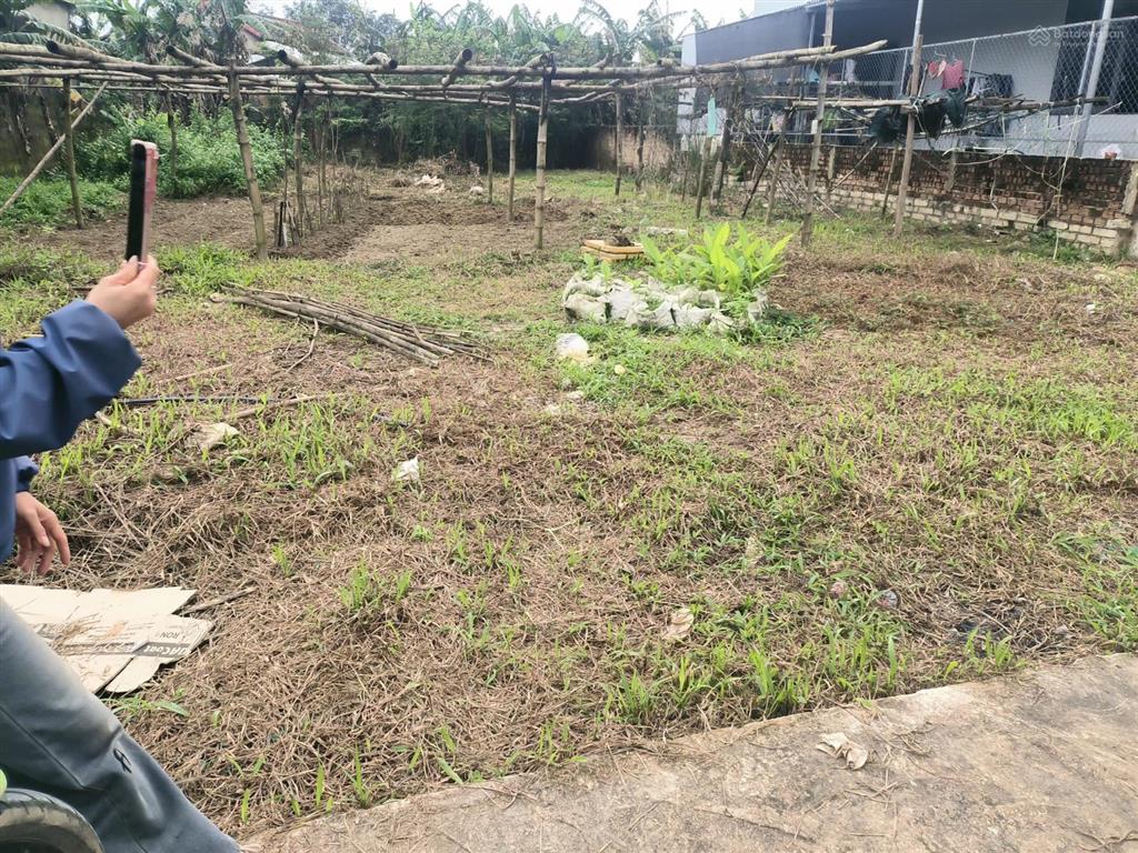 Bán đất túy loan tây hòa vang 130m2 đường 5m khu biệt thự gần trường