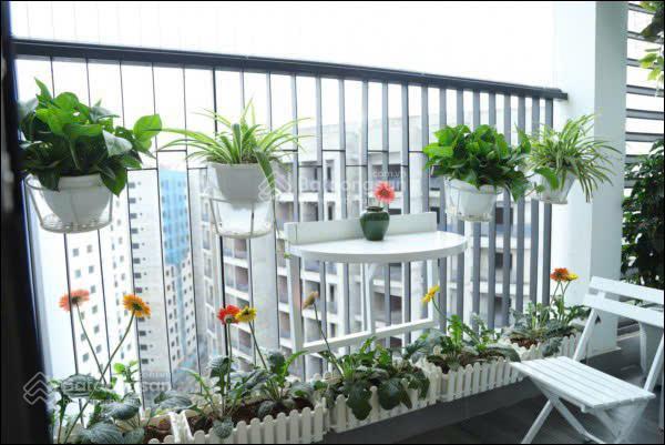 Chính chủ cho thuê căn 3n 90m2 bc đông nam đủ đồ toà g1 giá14tr/tháng le grand jardin sài đồng