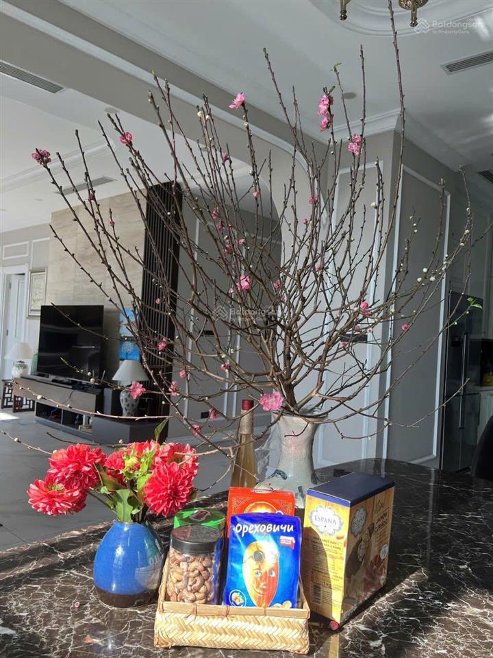 Dành cho giới tinh anh căn hộ 4 phòng ngủ chung cư the manor mễ trì cần bán