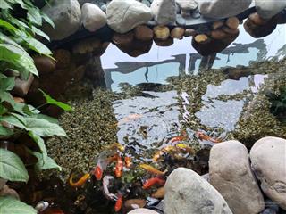 Dành cho giới tinh anh căn hộ 4 phòng ngủ chung cư the manor mễ trì cần bán