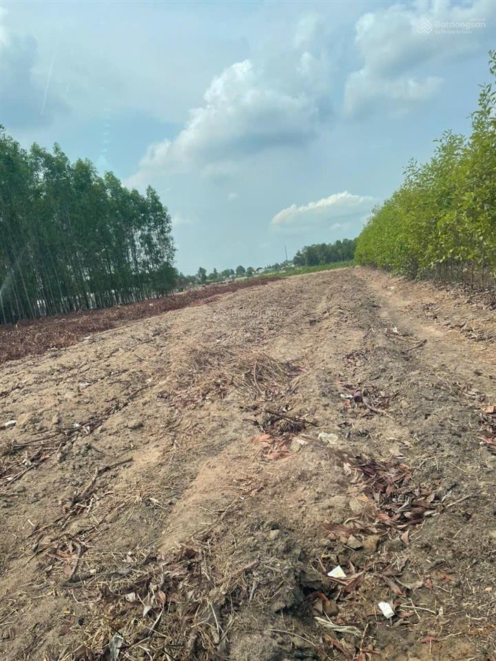 Chính chủ bán 1000m2 đất trồng cây lâu năm vĩnh thanh, nhơn trạch, đồng nai