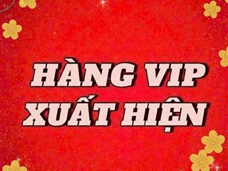 Bán gấp ăn tết lô đất việt nhân villa nguyễn xiển