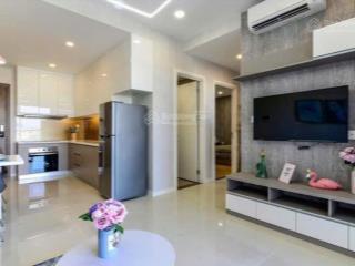 Trung tâm hcm , 54m2 / 2 tỷ 17 , shr công chứng , view hồ bơi , tầng cao ,góp 10 năm lãi ưu đãi