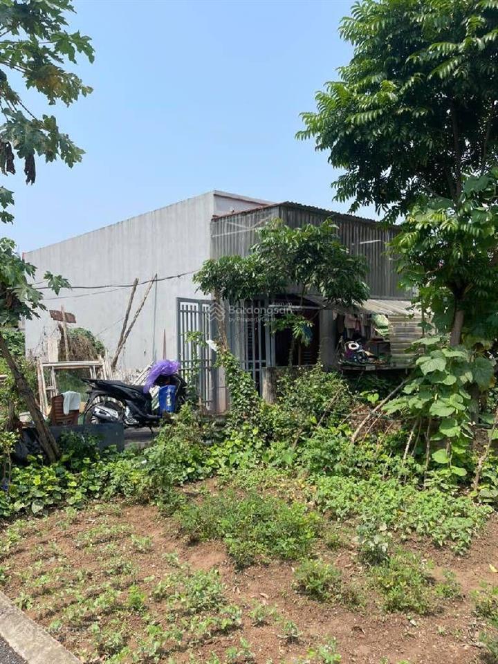 Đào xuyên đa tốn gia lâm 54m2 ô tô đỗ cửa sẵn nhà cấp 4 chỉ 4,2 tỷ