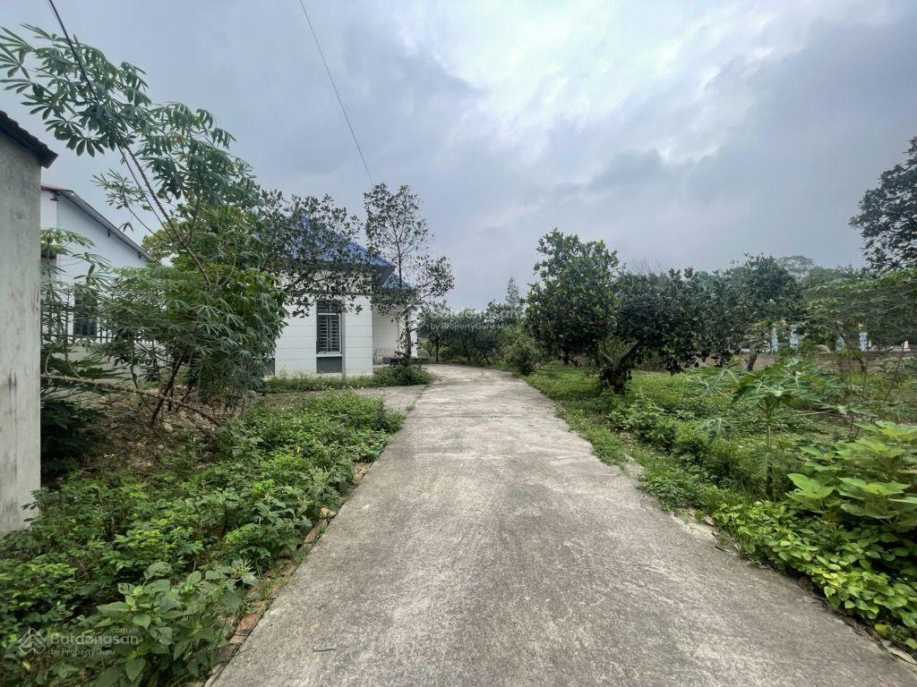 Bán 1400m đất ở kèm nhà vườn kiên cố tại phú hữu, minh phú