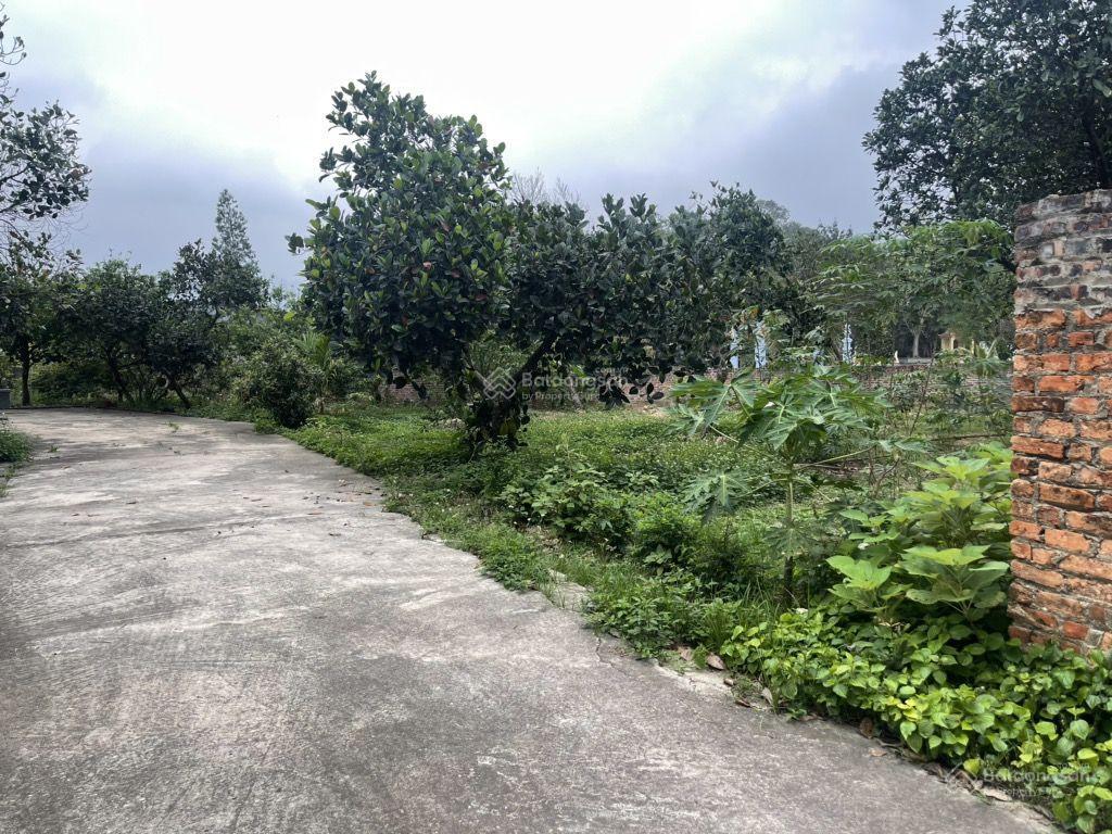 Bán 1400m đất ở kèm nhà vườn kiên cố tại phú hữu, minh phú