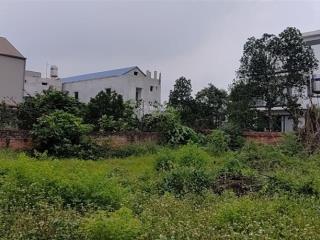 Tân phúc  hồng kỳ, 420m, đầu tư phân lô đẹp, giá nhỉnh 7 tỷ