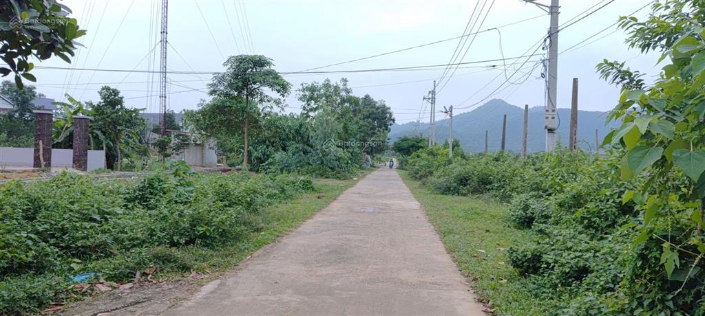 Chỉ hơn 3 triệu/m2 đất tại nam sơn, sóc sơn, dân cư đông đúc, tại hồ hoa sơn