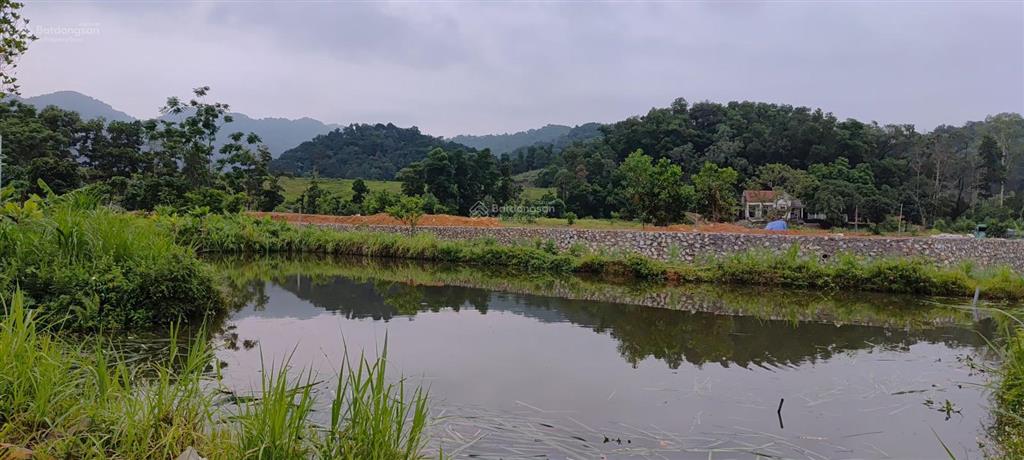 Chỉ hơn 3 triệu/m2 đất tại nam sơn, sóc sơn, dân cư đông đúc, tại hồ hoa sơn