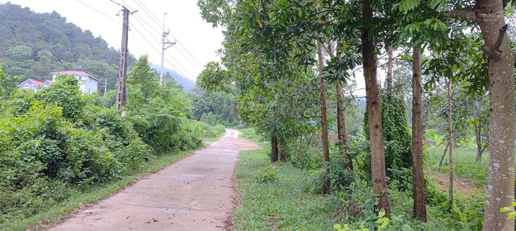 Chỉ hơn 3 triệu/m2 đất tại nam sơn, sóc sơn, dân cư đông đúc, tại hồ hoa sơn