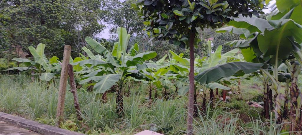 Chỉ hơn 3 triệu/m2 đất tại nam sơn, sóc sơn, dân cư đông đúc, tại hồ hoa sơn