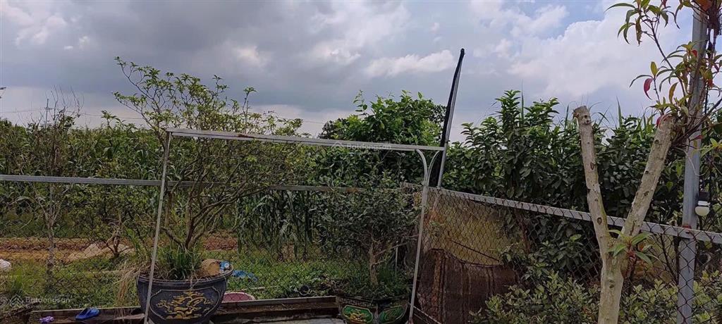 Chỉ 2.25 tỷ  có ngay nhà vườn 850m sát hồ ban tiện & sân golf