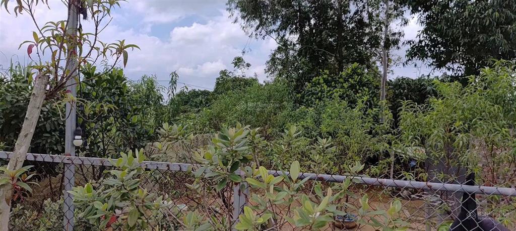 Chỉ 2.25 tỷ  có ngay nhà vườn 850m sát hồ ban tiện & sân golf