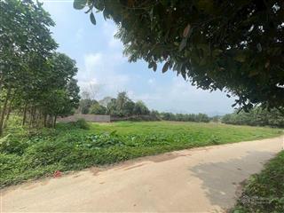 Chỉ 5 triệu/m^2  sở hữu ngay 1400m2 đất làm biệt thự nhà vườn tại đô lương