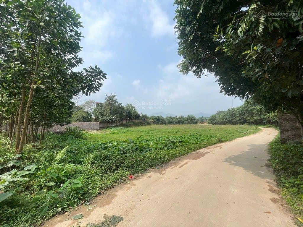 Chỉ 5 triệu/m^2  sở hữu ngay 1400m2 đất làm biệt thự nhà vườn tại đô lương