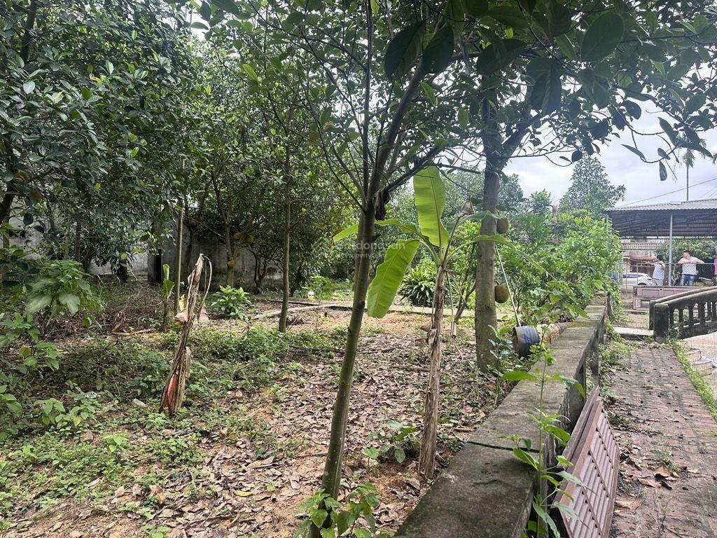 Lô góc 3250m2 có 2000m2 thổ cư tiềm năng sinh lời đột phá, sẵn 2 căn biệt thự kiên cố