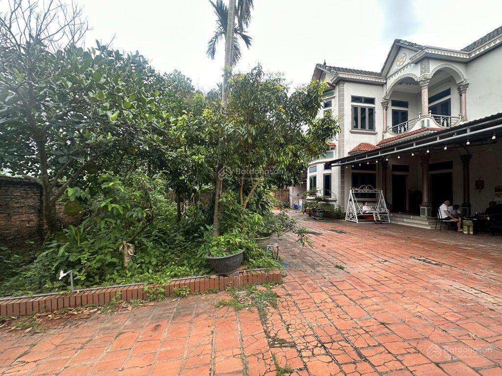 Lô góc 3250m2 có 2000m2 thổ cư tiềm năng sinh lời đột phá, sẵn 2 căn biệt thự kiên cố