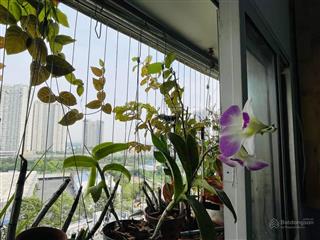 Bán nhà hóc môn 5x15 shr, khu bùi môn, hẻm xh. xuân thới đông