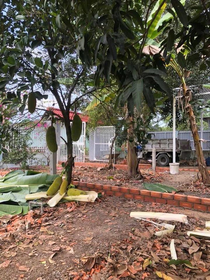 Bán đất 110m2 (5x22m) thổ cư chính chủ xã thạnh lợi  bến lức  long an giá rẻ 540 triệu