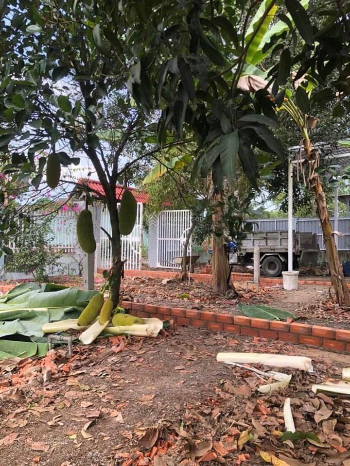 Bán đất 110m2 (5x22m) thổ cư chính chủ xã thạnh lợi  bến lức  long an giá rẻ 540 triệu