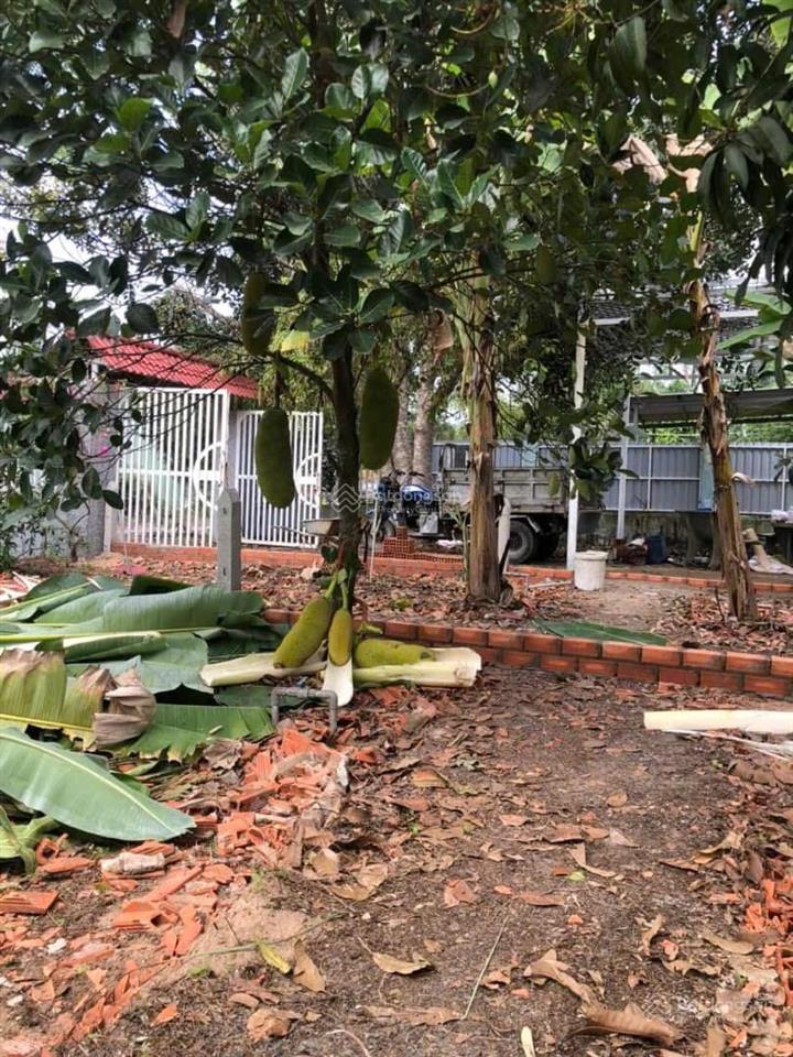 Bán đất 110m2 (5x22m) thổ cư chính chủ xã thạnh lợi  bến lức  long an giá rẻ 540 triệu