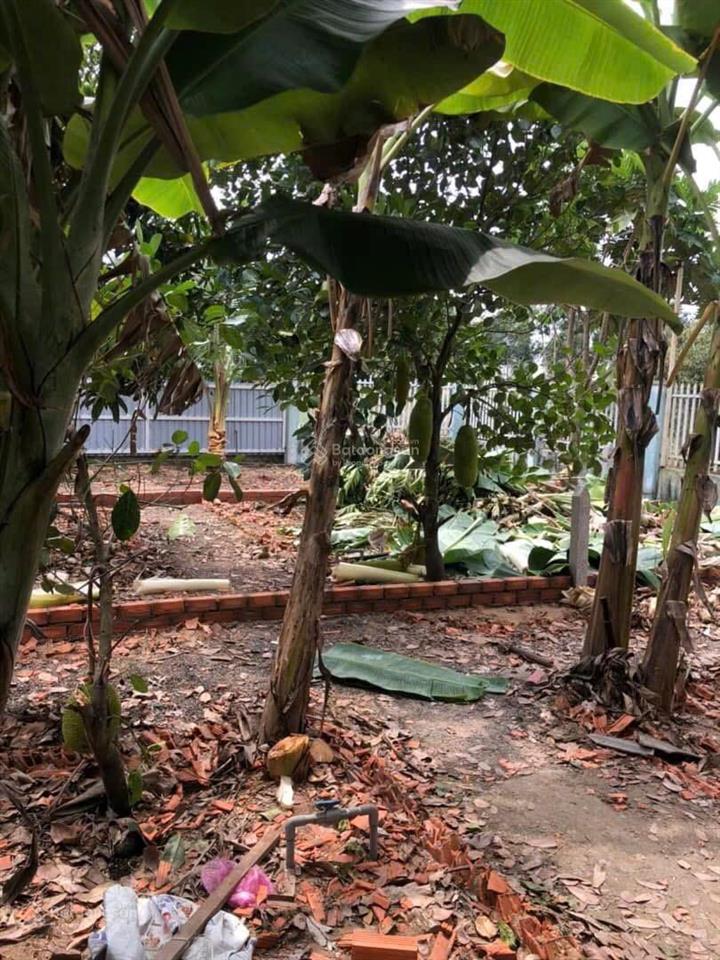 Bán đất 110m2 (5x22m) thổ cư chính chủ xã thạnh lợi  bến lức  long an giá rẻ 540 triệu