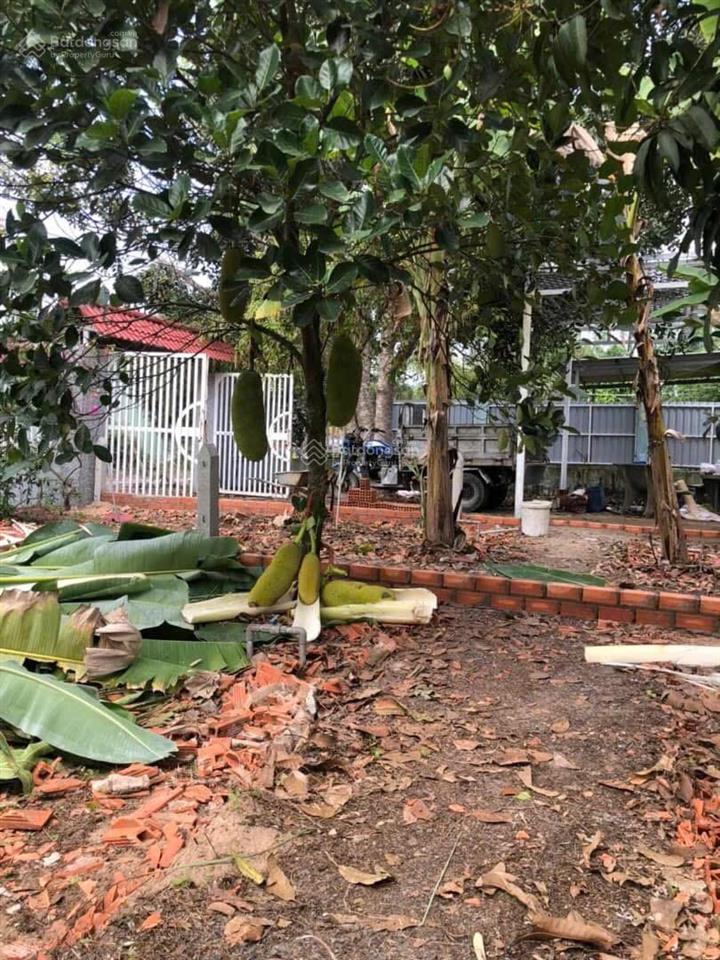 Bán đất 113m2 (5x24m) thổ cư chính chủ xã thạnh lợi  bến lức  long an giá rẻ 555 triệu