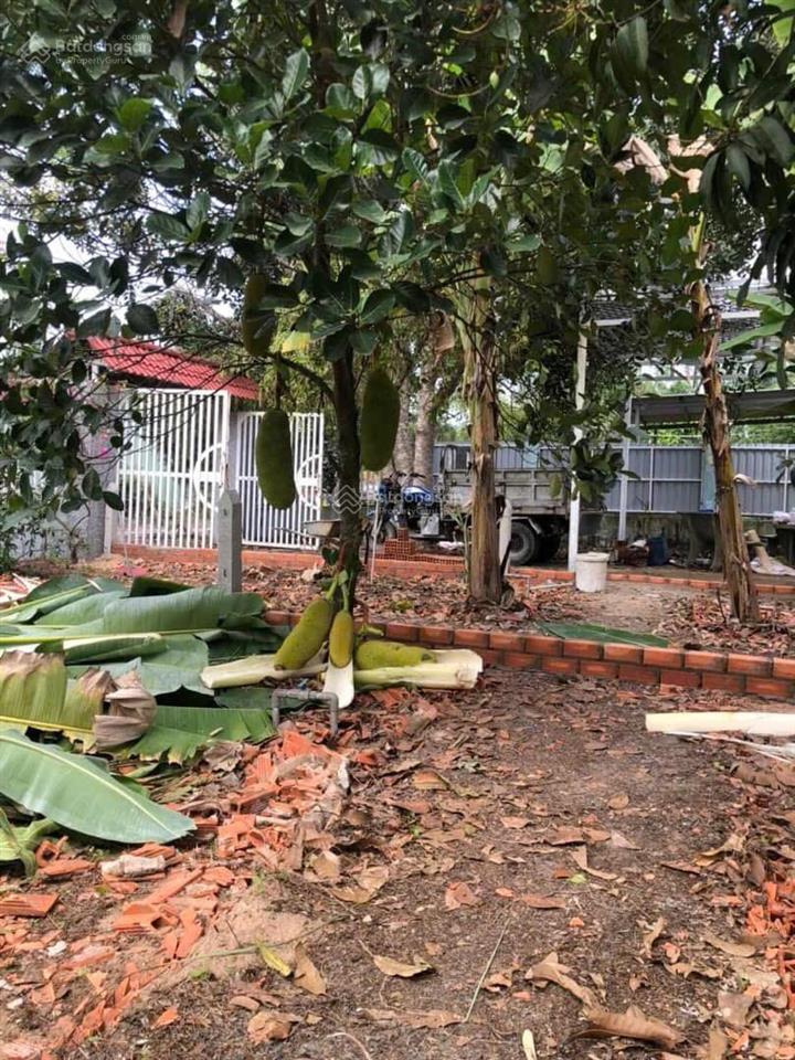Bán đất 113m2 (5x24m) thổ cư chính chủ xã thạnh lợi  bến lức  long an giá rẻ 555 triệu