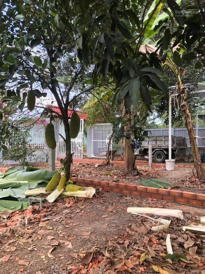 Bán đất 113m2 (5x24m) thổ cư chính chủ xã thạnh lợi  bến lức  long an giá rẻ 555 triệu