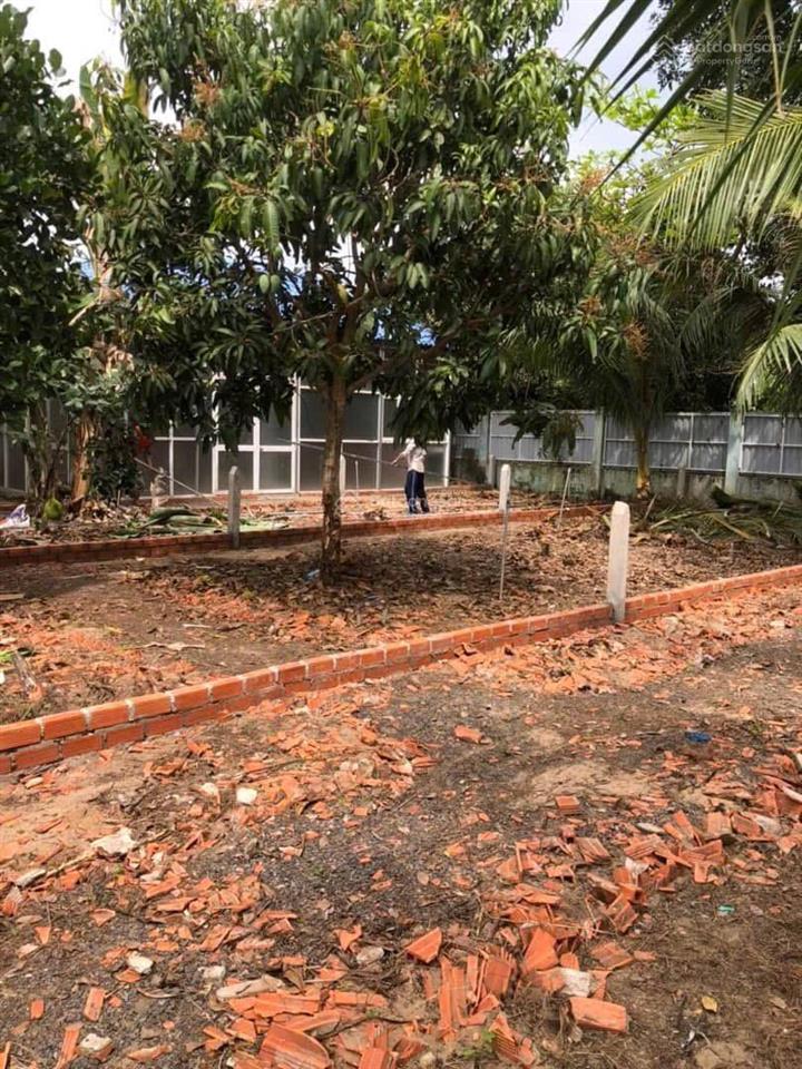 Bán đất 113m2 (5x24m) thổ cư chính chủ xã thạnh lợi  bến lức  long an giá rẻ 555 triệu