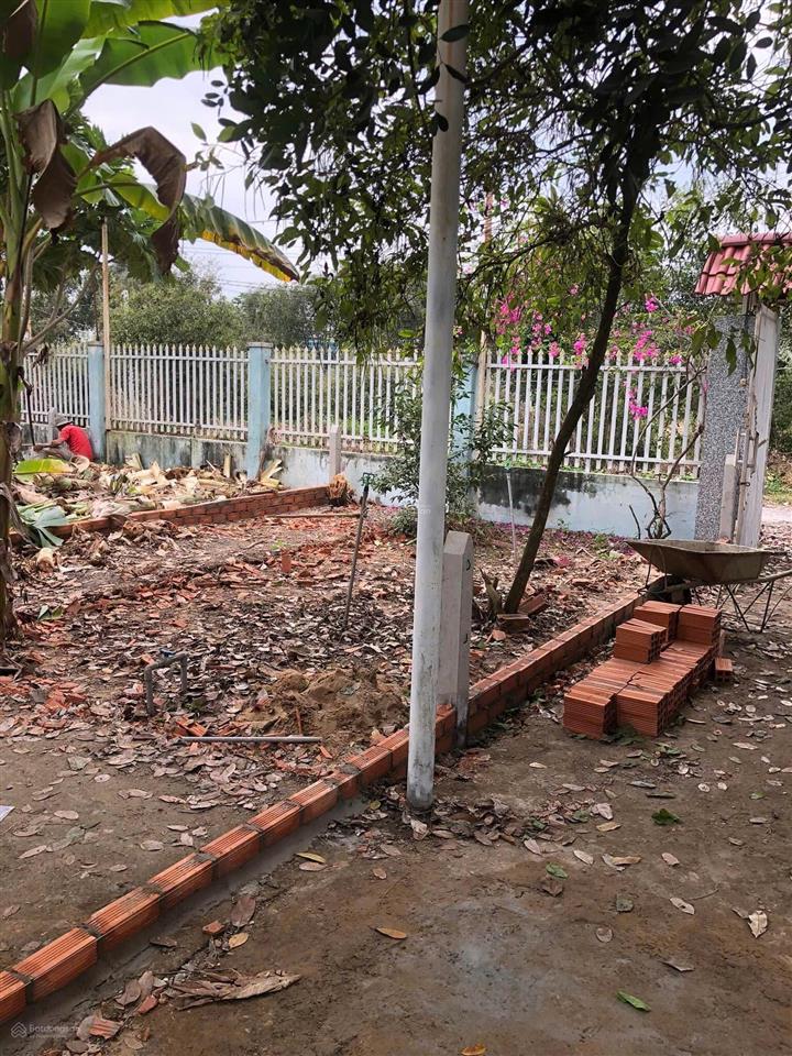 Bán đất 113m2 (5x24m) thổ cư chính chủ xã thạnh lợi  bến lức  long an giá rẻ 555 triệu