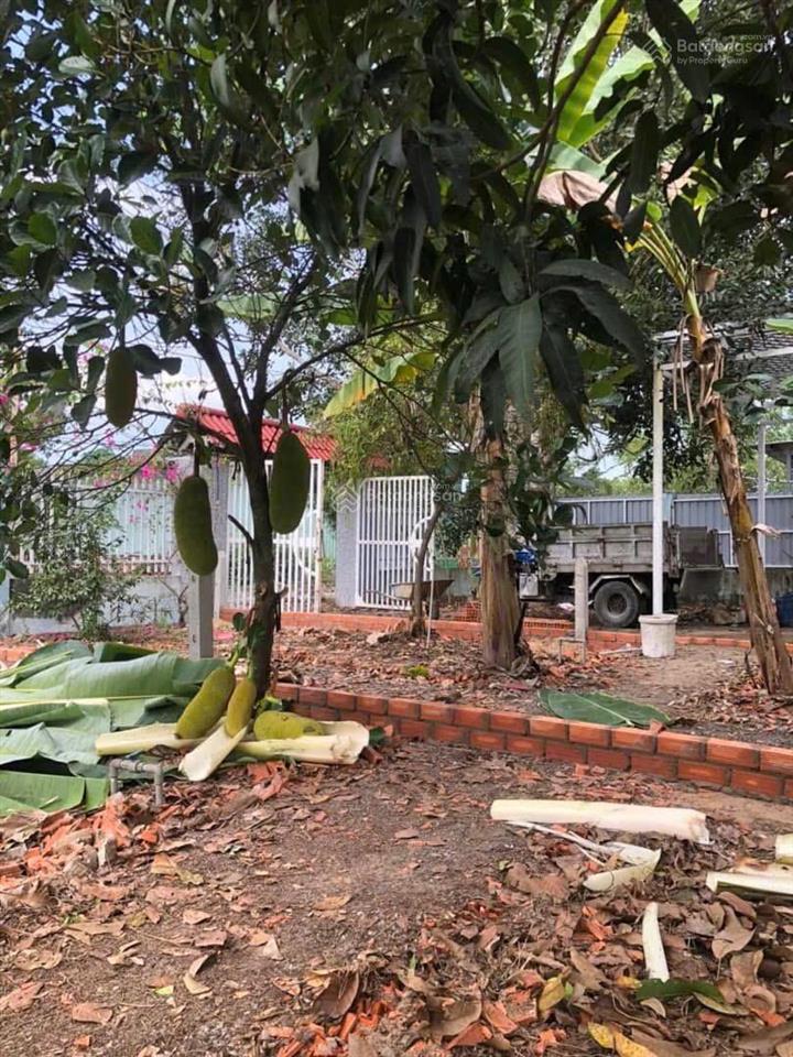 Bán đất 113m2 (5x24m) thổ cư chính chủ xã thạnh lợi  bến lức  long an giá rẻ 555 triệu