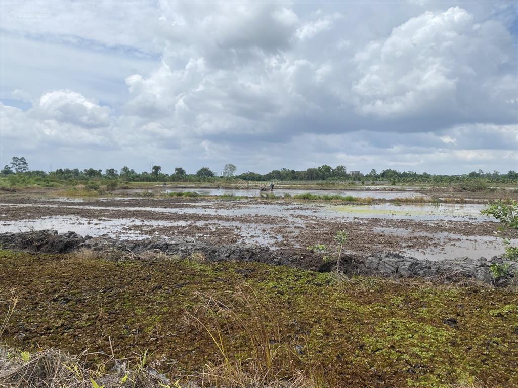 Bán 3,6 ha đất cln trung an, củ chi ven sông sài gòn  150 tỷ