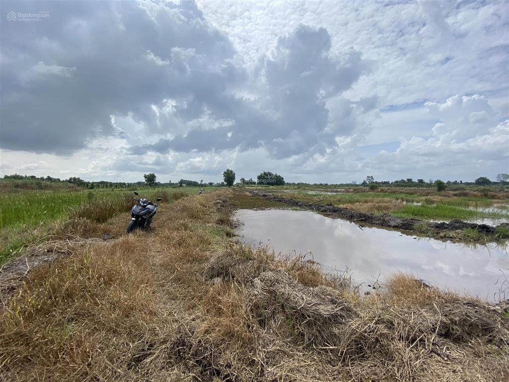 Bán 3,6 ha đất cln trung an, củ chi ven sông sài gòn  150 tỷ