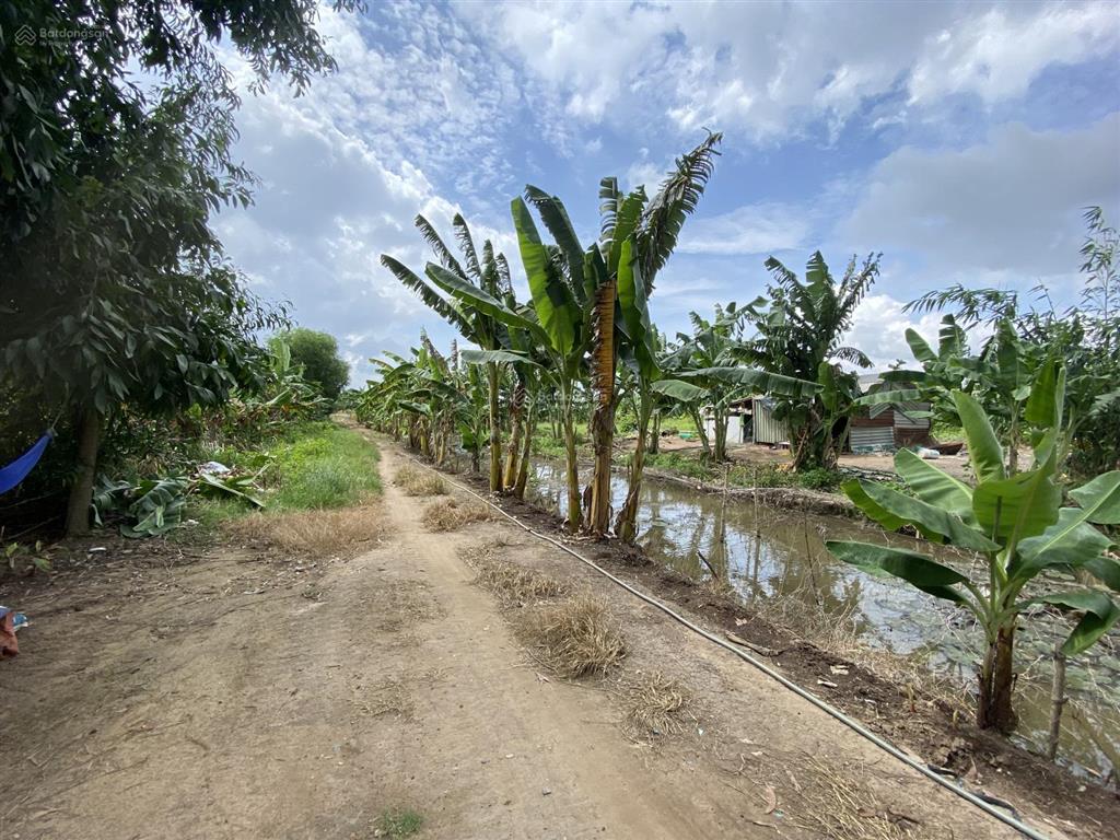 Bán 3,6 ha đất cln trung an, củ chi ven sông sài gòn  150 tỷ