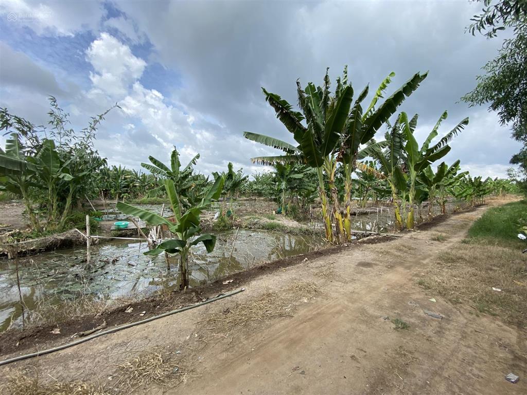 Bán 3,6 ha đất cln trung an, củ chi ven sông sài gòn  150 tỷ