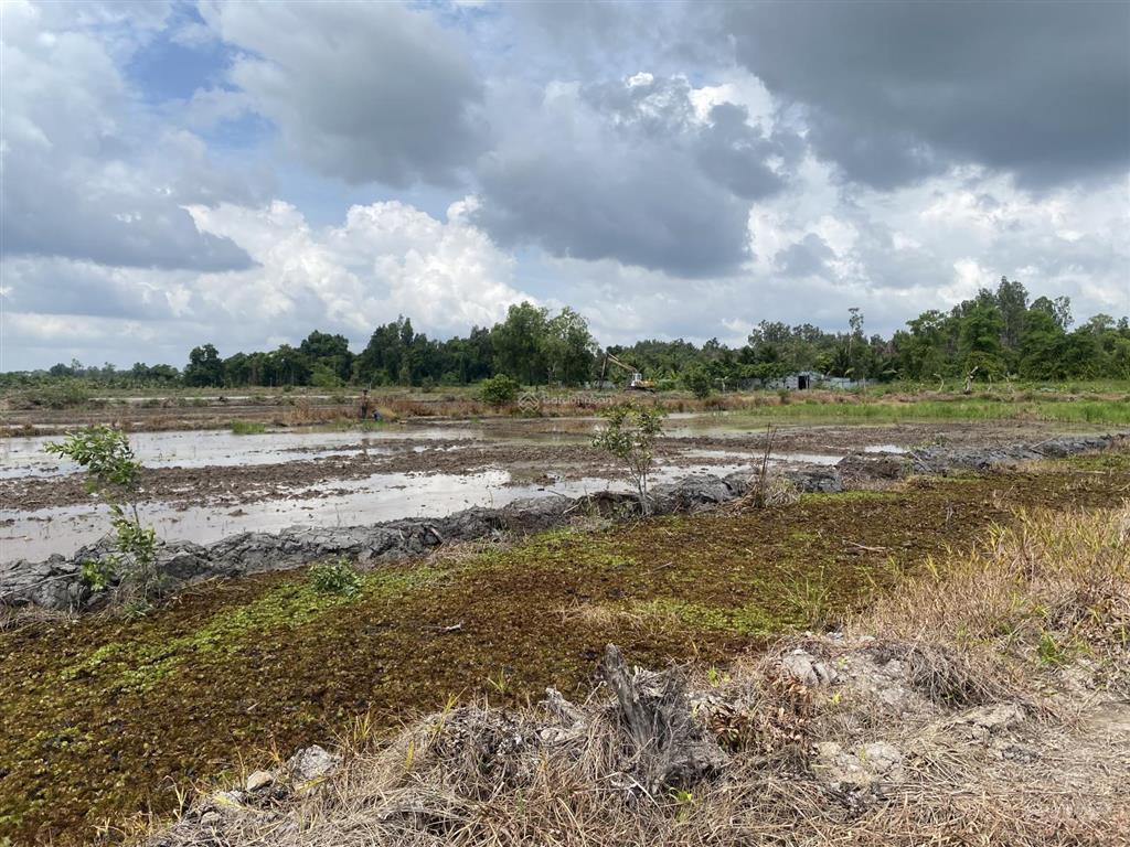 Bán 3,6 ha đất cln trung an, củ chi ven sông sài gòn  150 tỷ