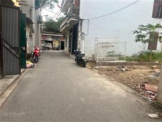 Bán đất đẹp tại đường trâu quỳ, thị trấn trâu quỳ, gia lâm, hà nội, 87 m2 phù hợp xây biệt thự