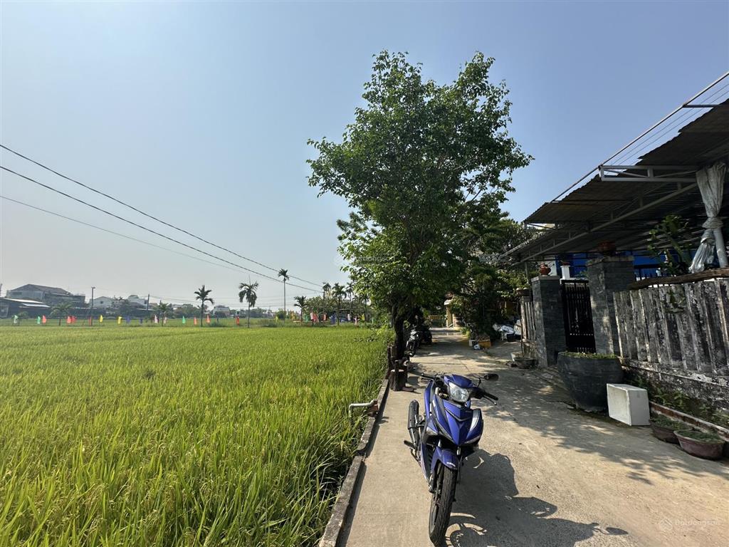 Mặt tiền view lúa trực diện lý thái tổ