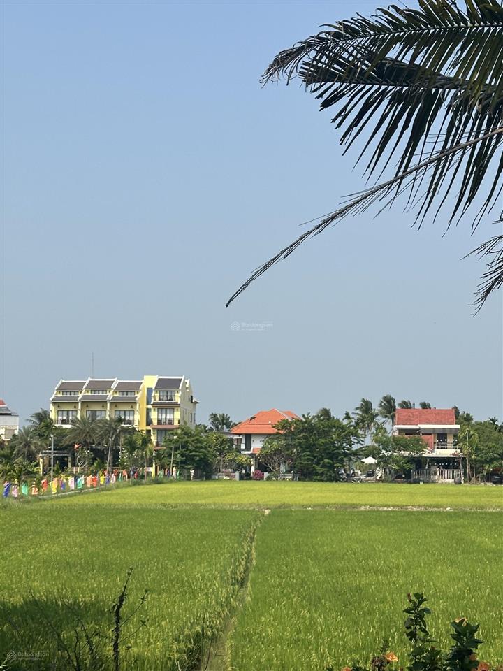 Mặt tiền view lúa trực diện lý thái tổ