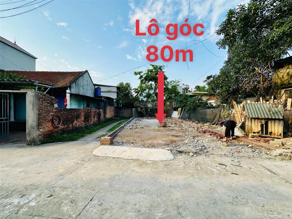Chính chủ gửi bán lô góc 80m full thổ cư ngõ oto thông